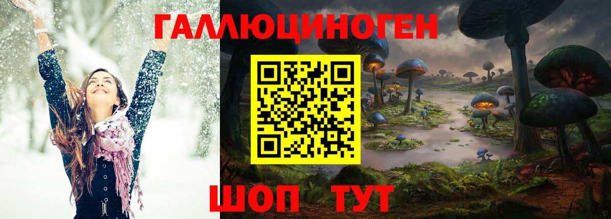 Псилоцибиновые грибы прущие грибы Санкт-Петербург